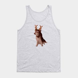 Husky wearing deer antlers Tank Top